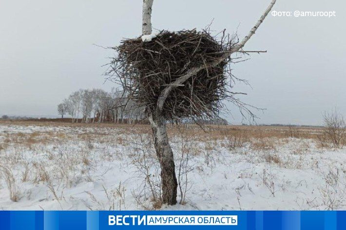 � ������� �������� ����� ��������� ����: � ��������� ���������� ������ ���� �������� ����� ������