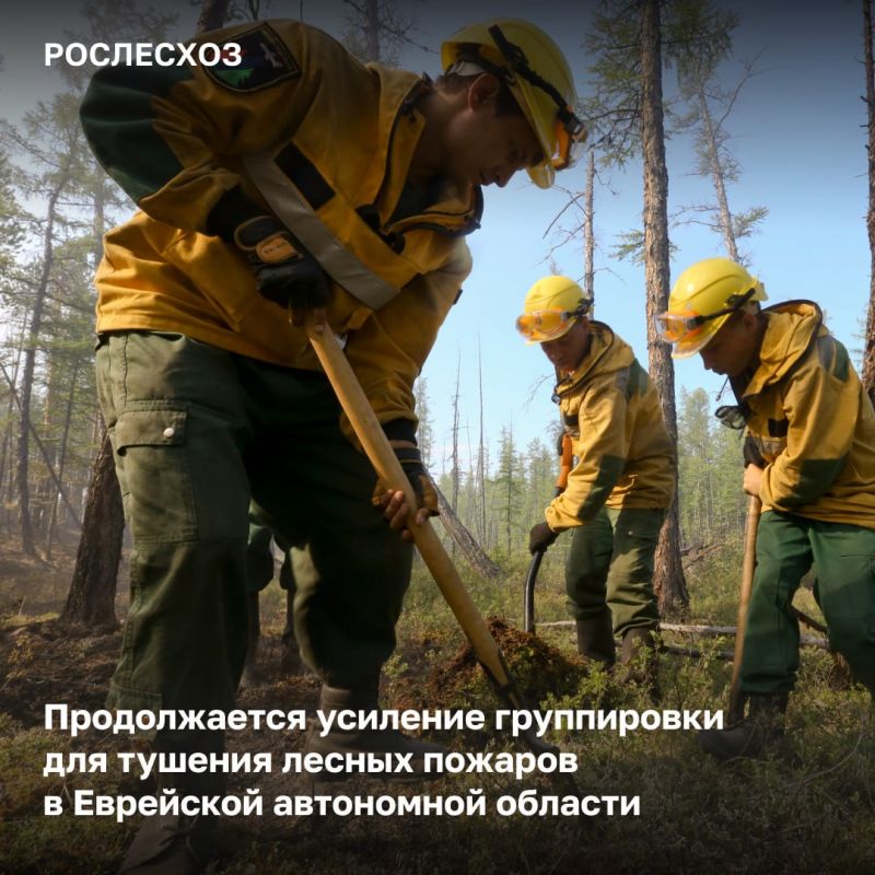 � ��������� ���������� ������� �������� 65 ������������ ����������� �������������� � ������������ ���