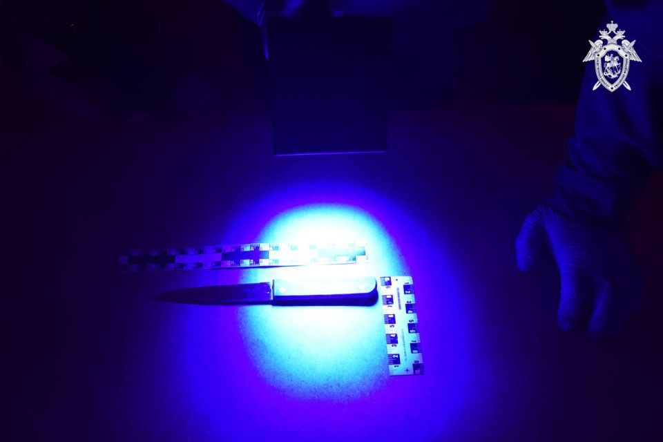 ������ ������������� ���������� ����� ����� ����������