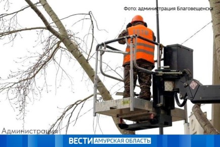 35 ����� � ������ ������� � ������������� ������ ����� ��������