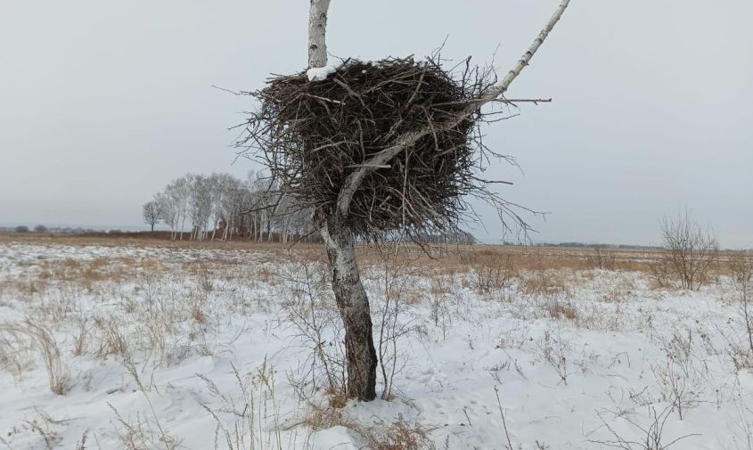 ������ 130 ����� ������ ��������� � ���������� �������� ������� � ������� ����