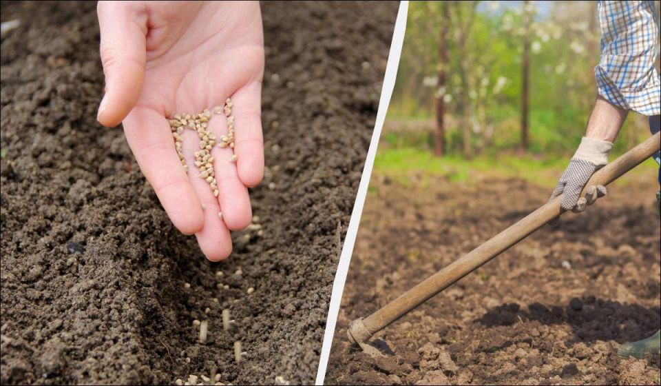 ��� �������� ��� ����: ���������� �������� ��� ������ �������