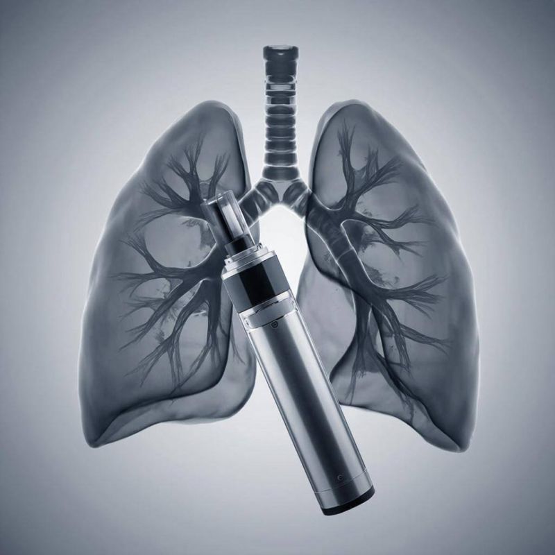 ������� ���������� ��������