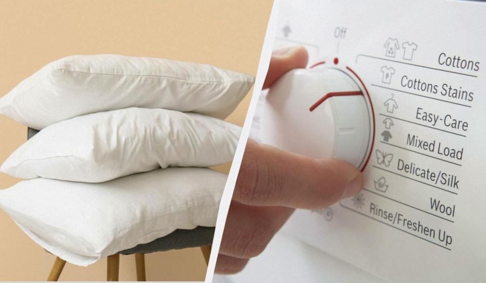 ��� ����� ������� �������� ����������� ���: ������ �� ������ ����