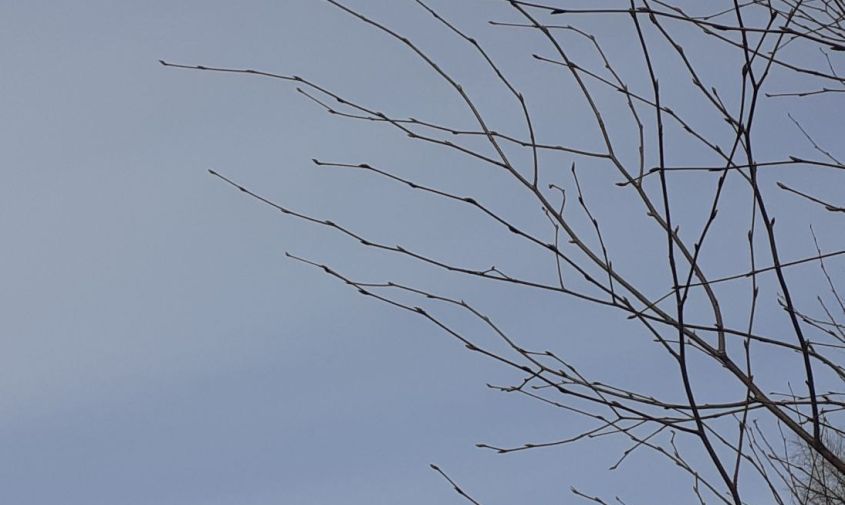 ������� ������ � �������� ������� �� 4 ������