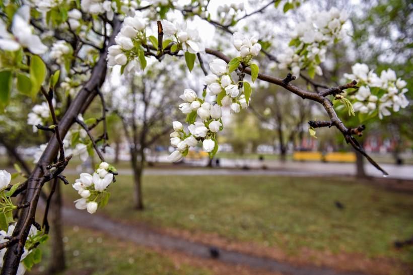 ��������� �� ������ �������� �� 28 ������������ ������������� �������������