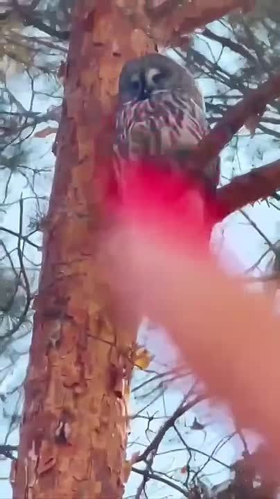 ����� ������� �������� ����� ����� ���������� ��������������