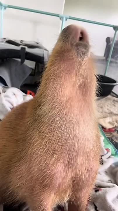 ������ ����! . ������ �� ������ ��������, � �� ��� ��� ��� ��