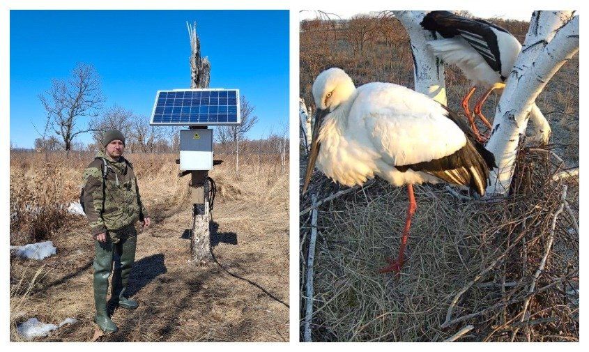 �������� ����� �����: �������� ����� ����� ��������� �� ������ ������������� ���� ������ ������