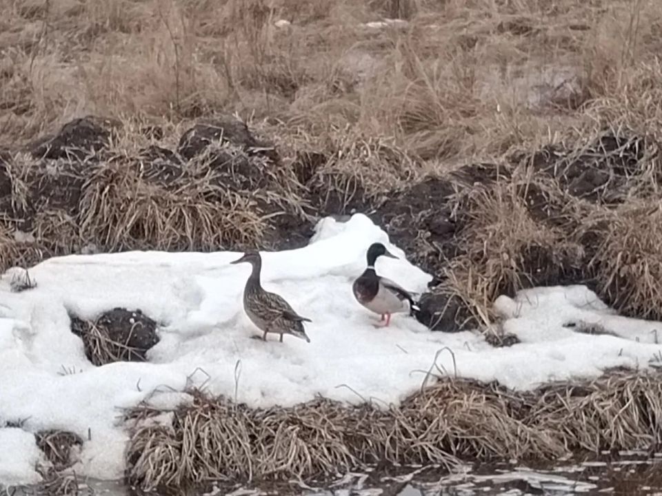 ������� �������� ���� ������� ���������������� � ����������� ������