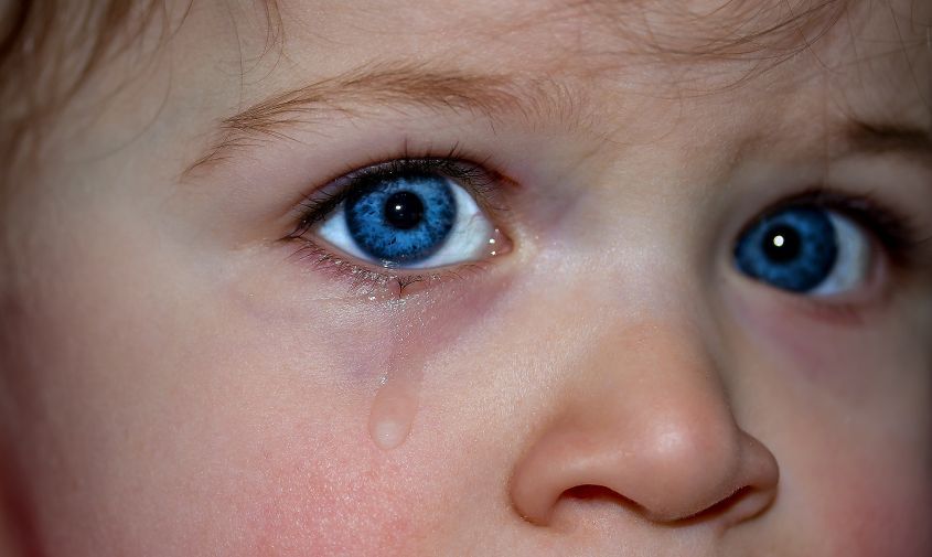 ������ �� ����: �� �������� ���������� ������ ������������ ��������� �������� �����������