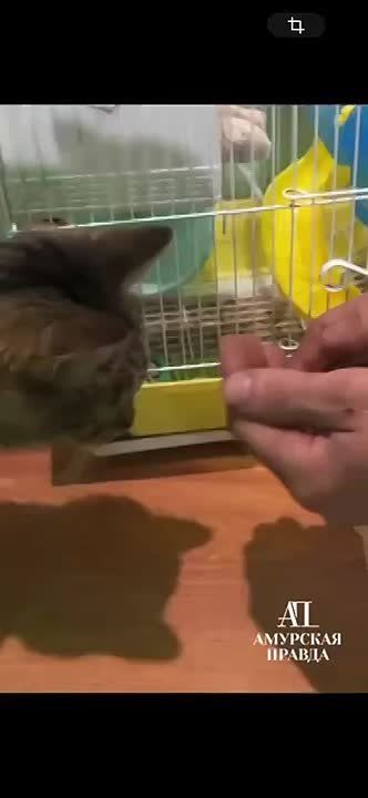 ��� ������, ��� ����� � ����� �� ����� ����� ��������?