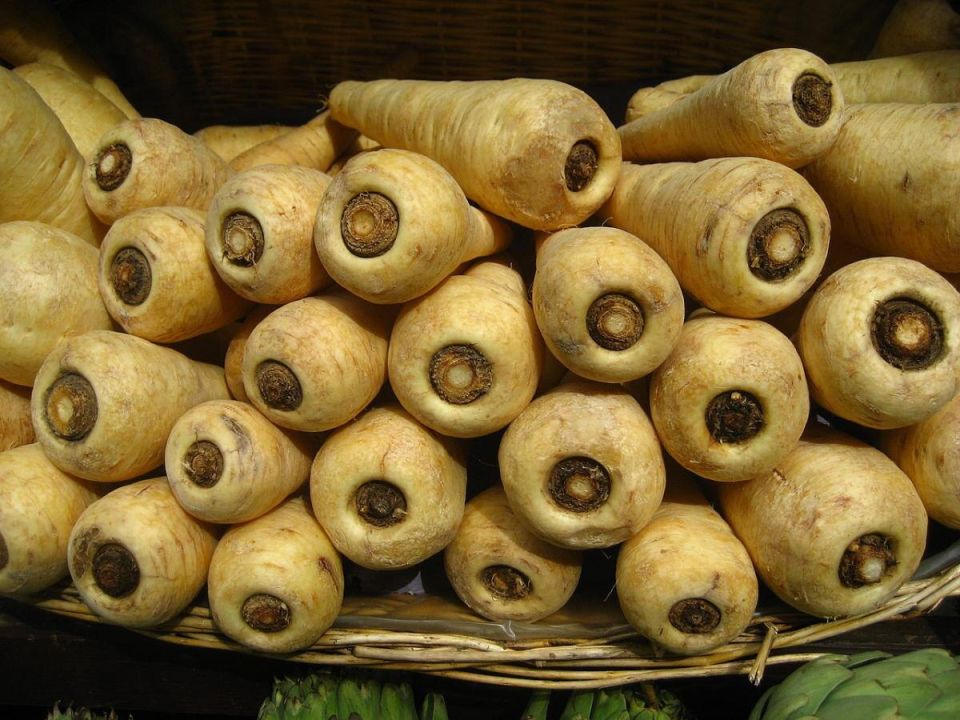 ���������: ������� ��������� � ����� ������ � ��������� ����������