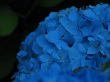 �������� ����� ���������: ��� �������� ������� ��� ������ ������