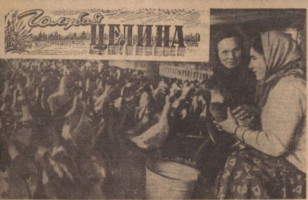 На берегу озеро Моховое рядом с Константиновкой разводили уток на мясо