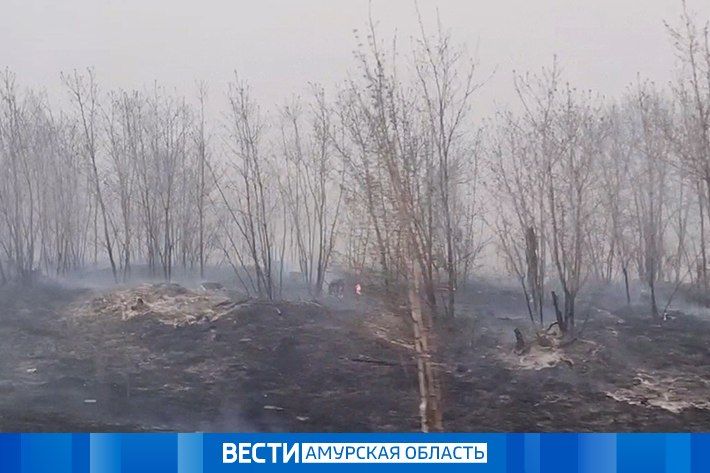 ������ ��������������� ����� ����� ��� � 15 ��������������� �������