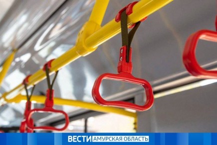 В ближайшие три дня сразу несколько городских автобусных маршрута изменят привычную схему движения