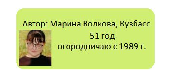 ��� ��������� ��������� ��������: ������� � ������ �� �������� ��������