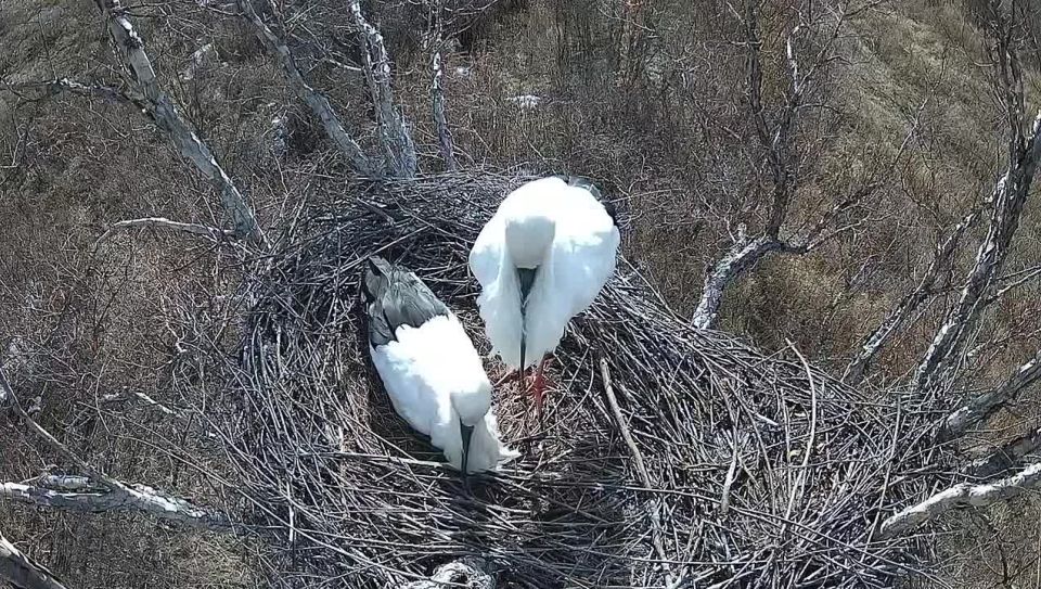 ���� ������ � ������������ ����� ��� ���� ��������� �� ���� ������