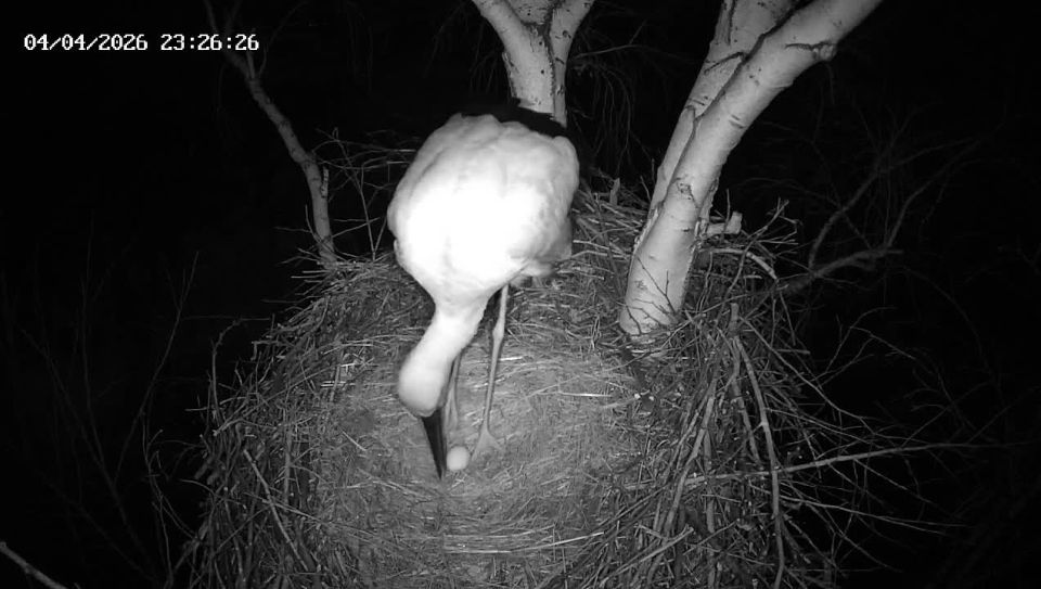 ���������� �������: � ������ ������ ����� � ��� ��������� ������ � ���� ������ ����