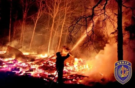 Потушили не все: в Приамурье за сутки возникло четыре природных пожара