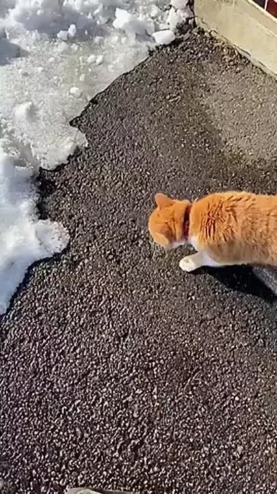 ������ ����! . �������� �������� ��������