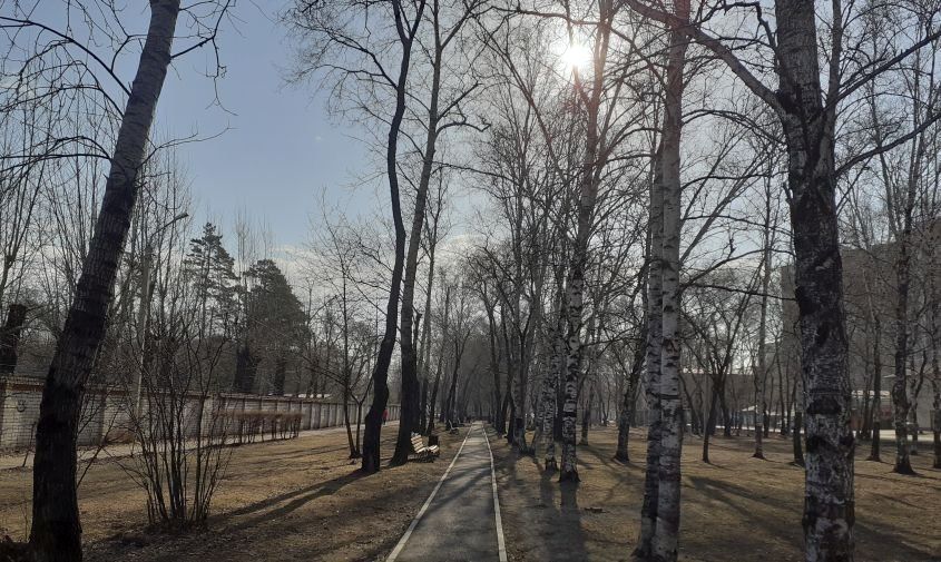 ������� ������ � �������� ������� �� 7 ������