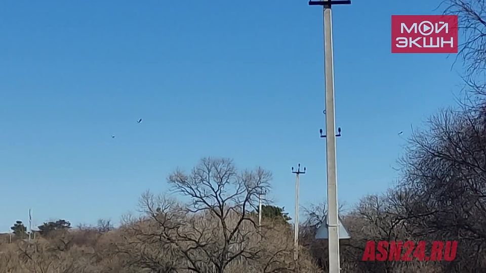 ���� ��� �������� �� ������!�: ������� ���� ������ � ���� ��� ���������� ��������� ���������