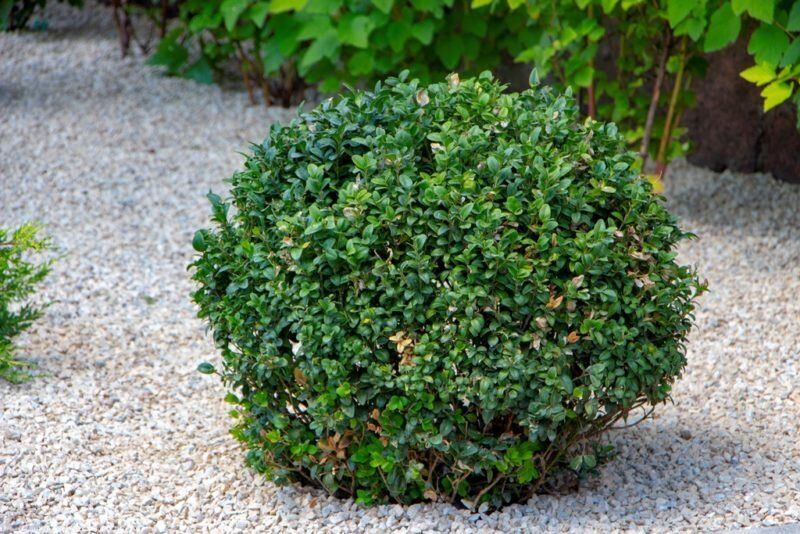 6 ��������������� �������� ��� ������� �� ��������