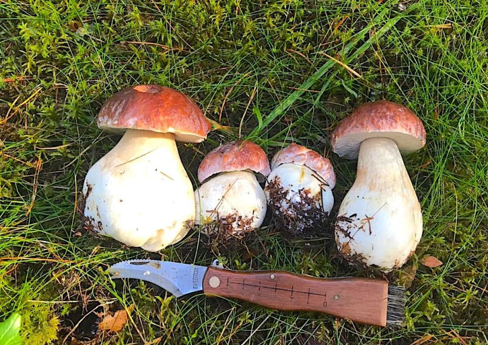 ����� �����: ������������ � ��������� ��������� � �����