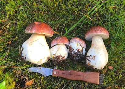 ����� �����: ������������ � ��������� ��������� � �����