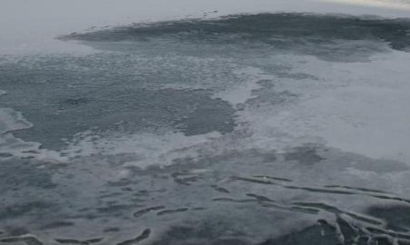 ���� ���� �� ����: ���� ������������� ��� ��� �� ��������� � ��������� ����� ���� ���������� ���