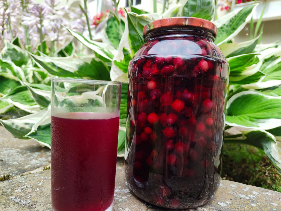 ������ �� ���� �� ����: ������� � �������� ������