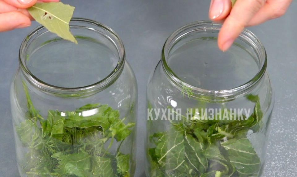 ��� ����������� ��������� ����������� ������: ������ ���� ��� ������ �����