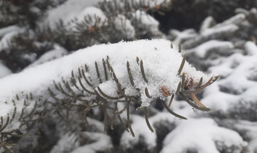 �������� ��������� ������� ����� �������� ������������ ����: ����� ��� ����