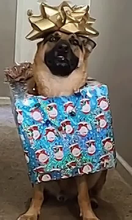 ����������� ������� ������������!