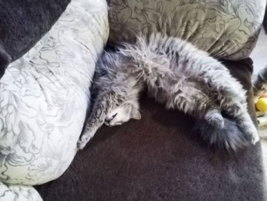 �������� � ������������ �������� �����