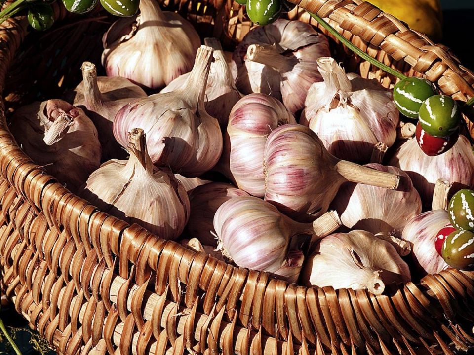 ��� ��������� �������� ������: ������� �������� ������� � �����