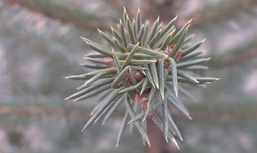 ������� ����� � �����������: ��������� � ������ � ��������� �� ������