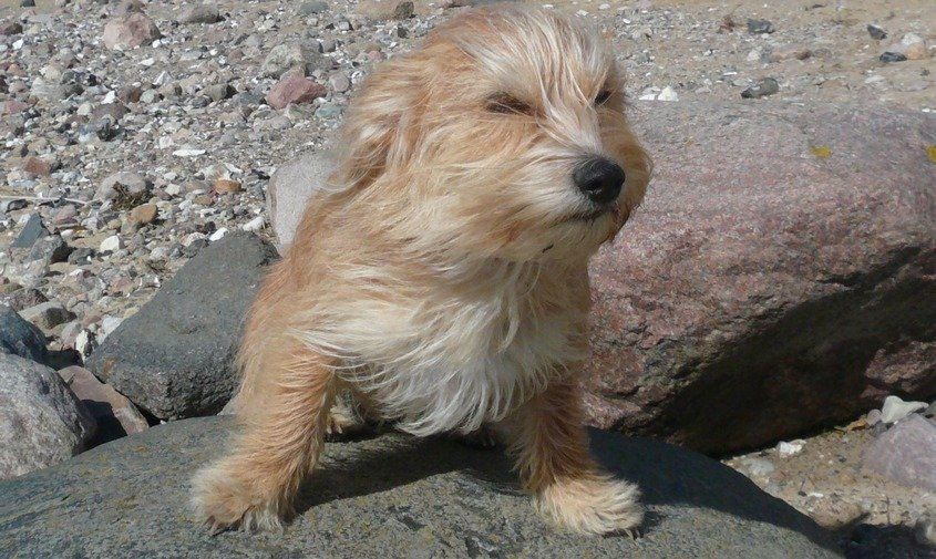 ������� ������ � �������� ������� �� 9 ������ (����)