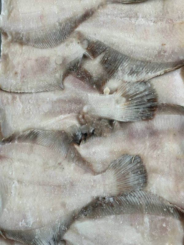 �������: ���� � ���������� � ������