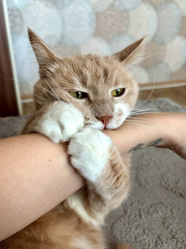 ��� ����, ������ � �� ���� ������