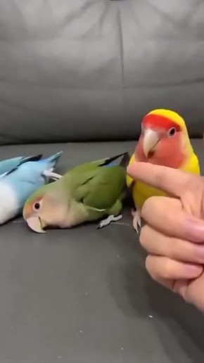 ������ ����! . �������, ������ ����� ��� ������