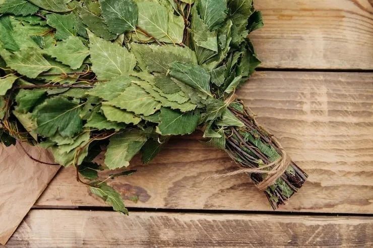 ������� ��������� ��������� ������������ ����