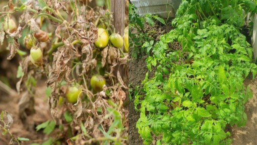 ������� ��������� ������: ������������� ������, ������� ����� ��������