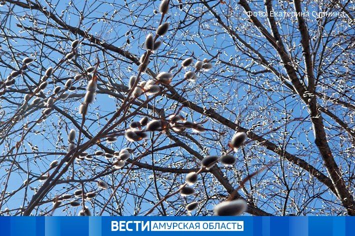 ������ �� ������: ������� ������ �� 9 ������ � ���������