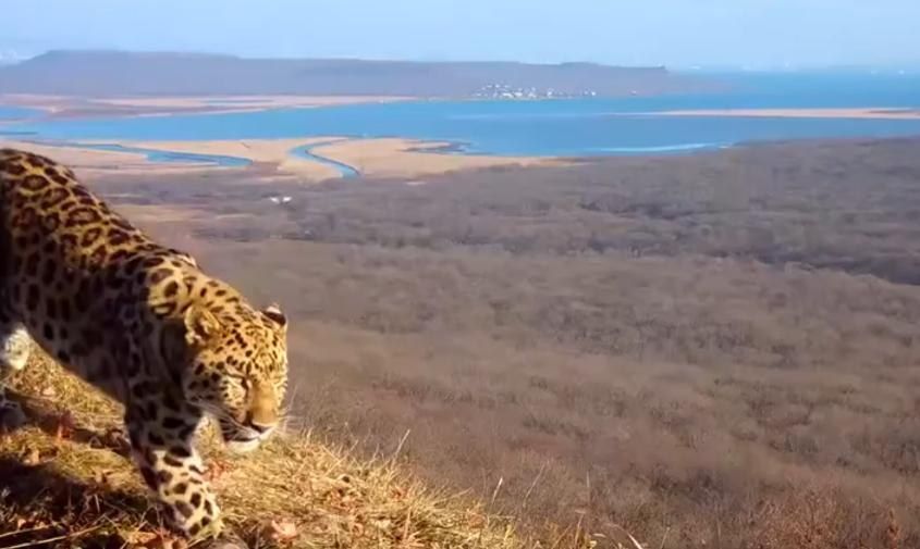 ���� �� ��������: � �������� ������ ������� �������� �� ���� ������ ������������