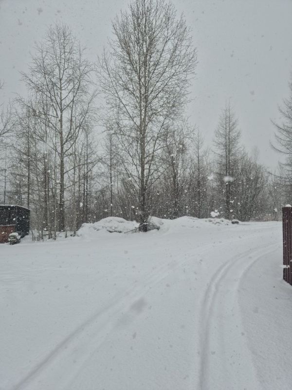 ������ �������� ������� ��������� �� ����� ���� �������