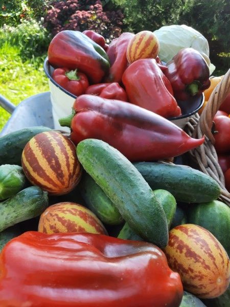 ���� 2024: ��������� ���������� � ����������� ������