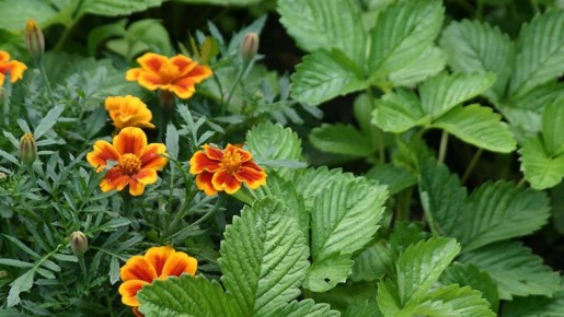 ��� ����� ����� ����������� ���� �����: ������� ��������� ��� ��������� ������